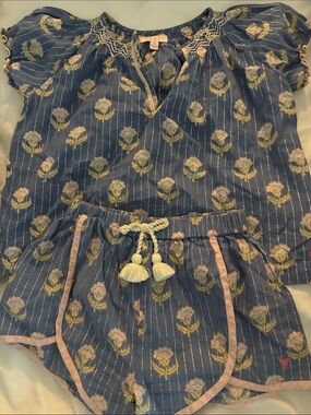 Pink Chicken Blue Floral Stripe Two-Piece Girls' Set with Tassel Tie